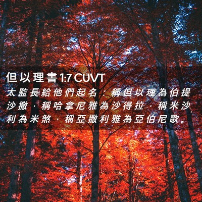 Picture 02 - 但 以 理 書 1:7 CUVT - 太 監 長 給 他 們 起 名 ： 稱 但 以 - Bible Verse Picture