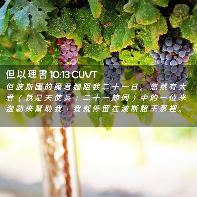 Picture 02 - 但 以 理 書 10:13 CUVT - 但 波 斯 國 的 魔 君 攔 阻 我 二 十 - Bible Verse Picture