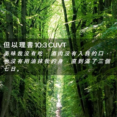 Picture 02 - 但 以 理 書 10:3 CUVT - 美 味 我 沒 有 吃 ， 酒 肉 沒 有 入 - Bible Verse Picture