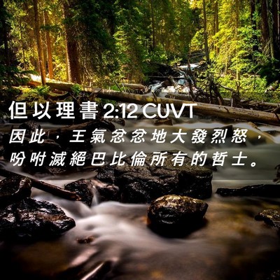 Picture 02 - 但 以 理 書 2:12 CUVT - 因 此 ， 王 氣 忿 忿 地 大 發 烈 怒 - Bible Verse Picture