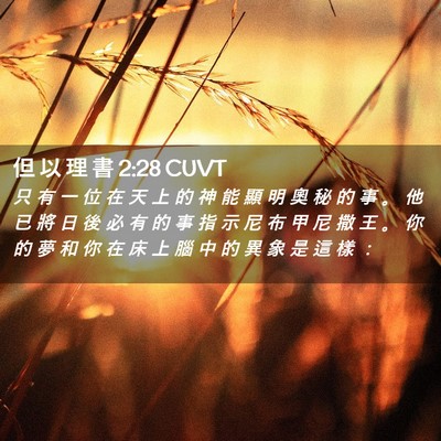 Picture 02 - 但 以 理 書 2:28 CUVT - 只 有 一 位 在 天 上 的 神 能 顯 明 - Bible Verse Picture