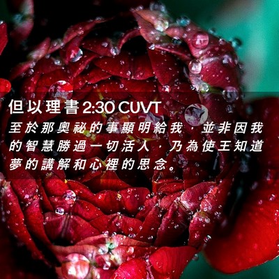 Picture 02 - 但 以 理 書 2:30 CUVT - 至 於 那 奧 祕 的 事 顯 明 給 我 ， - Bible Verse Picture