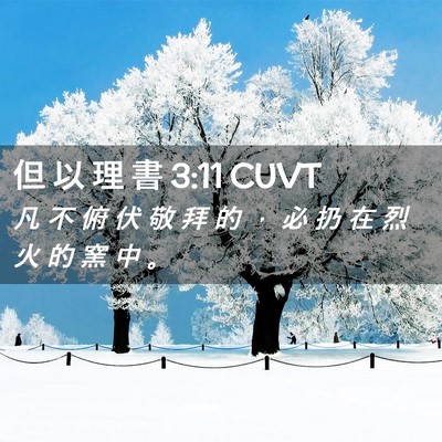 Picture 02 - 但 以 理 書 3:11 CUVT - 凡 不 俯 伏 敬 拜 的 ， 必 扔 在 烈 - Bible Verse Picture