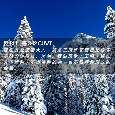 Picture 02 - 但 以 理 書 3:12 CUVT - 現 在 有 幾 個 猶 大 人 ， 就 是 王 - Bible Verse Picture