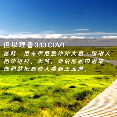 Picture 02 - 但 以 理 書 3:13 CUVT - 當 時 ， 尼 布 甲 尼 撒 沖 沖 大 怒 - Bible Verse Picture