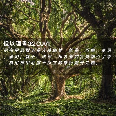 Picture 02 - 但 以 理 書 3:2 CUVT - 尼 布 甲 尼 撒 王 差 人 將 總 督 、 - Bible Verse Picture