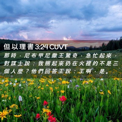 Picture 02 - 但 以 理 書 3:24 CUVT - 那 時 ， 尼 布 甲 尼 撒 王 驚 奇 ， - Bible Verse Picture