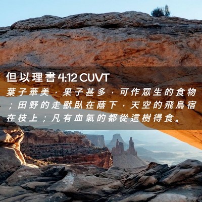 Picture 02 - 但 以 理 書 4:12 CUVT - 葉 子 華 美 ， 果 子 甚 多 ， 可 作 - Bible Verse Picture