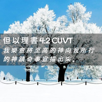 Picture 02 - 但 以 理 書 4:2 CUVT - 我 樂 意 將 至 高 的 神 向 我 所 行 - Bible Verse Picture