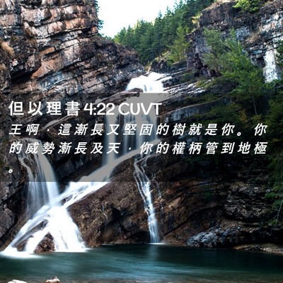 Picture 02 - 但 以 理 書 4:22 CUVT - 王 啊 ， 這 漸 長 又 堅 固 的 樹 就 - Bible Verse Picture