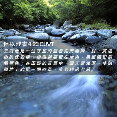 Picture 02 - 但 以 理 書 4:23 CUVT - 王 既 看 見 一 位 守 望 的 聖 者 從 - Bible Verse Picture