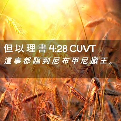 Picture 02 - 但 以 理 書 4:28 CUVT - 這 事 都 臨 到 尼 布 甲 尼 撒 王 - Bible Verse Picture