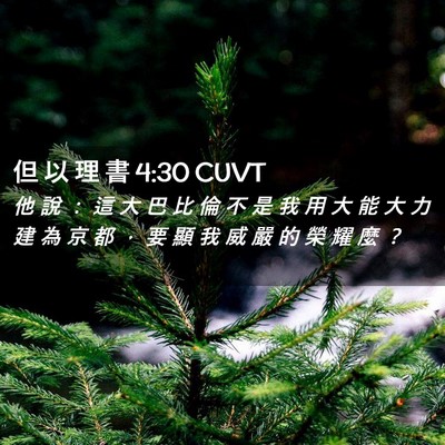 Picture 02 - 但 以 理 書 4:30 CUVT - 他 說 ： 這 大 巴 比 倫 不 是 我 用 - Bible Verse Picture
