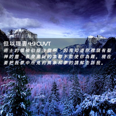 Picture 02 - 但 以 理 書 4:9 CUVT - 術 士 的 領 袖 伯 提 沙 撒 啊 ， 因 - Bible Verse Picture