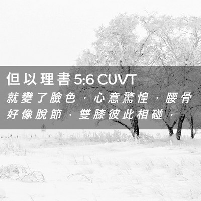 Picture 02 - 但 以 理 書 5:6 CUVT - 就 變 了 臉 色 ， 心 意 驚 惶 ， 腰 - Bible Verse Picture