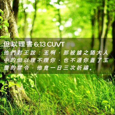 Picture 02 - 但 以 理 書 6:13 CUVT - 他 們 對 王 說 ： 王 啊 ， 那 被 擄 - Bible Verse Picture