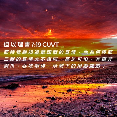 Picture 02 - 但 以 理 書 7:19 CUVT - 那 時 我 願 知 道 第 四 獸 的 真 情 - Bible Verse Picture