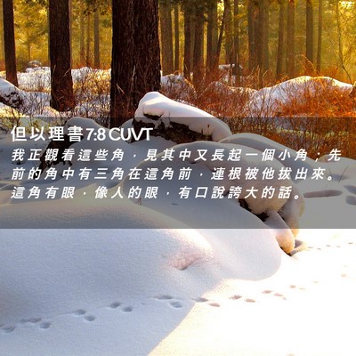 Picture 02 - 但 以 理 書 7:8 CUVT - 我 正 觀 看 這 些 角 ， 見 其 中 又 - Bible Verse Picture
