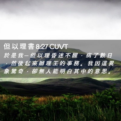 Picture 02 - 但 以 理 書 8:27 CUVT - 於 是 我 ─ 但 以 理 昏 迷 不 醒 ， - Bible Verse Picture