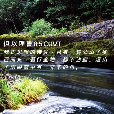 Picture 02 - 但 以 理 書 8:5 CUVT - 我 正 思 想 的 時 候 ， 見 有 一 隻 - Bible Verse Picture