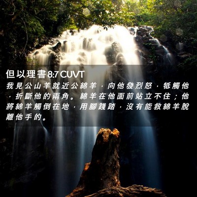 Picture 02 - 但 以 理 書 8:7 CUVT - 我 見 公 山 羊 就 近 公 綿 羊 ， 向 - Bible Verse Picture