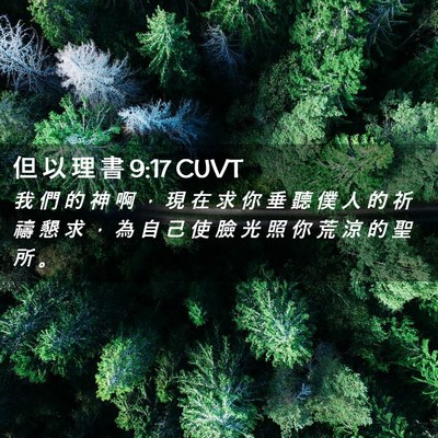 Picture 02 - 但 以 理 書 9:17 CUVT - 我 們 的 神 啊 ， 現 在 求 你 垂 聽 - Bible Verse Picture