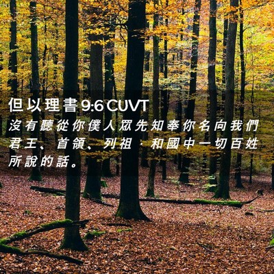 Picture 02 - 但 以 理 書 9:6 CUVT - 沒 有 聽 從 你 僕 人 眾 先 知 奉 你 - Bible Verse Picture