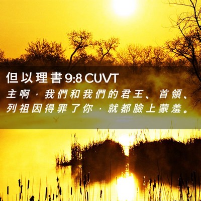 Picture 02 - 但 以 理 書 9:8 CUVT - 主 啊 ， 我 們 和 我 們 的 君 王 、 - Bible Verse Picture