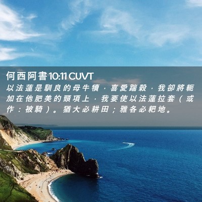 Picture 02 - 何 西 阿 書 10:11 CUVT - 以 法 蓮 是 馴 良 的 母 牛 犢 ， 喜 - Bible Verse Picture