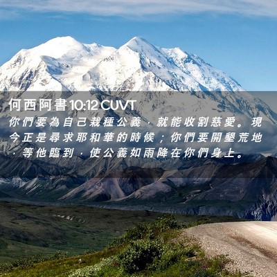 Picture 02 - 何 西 阿 書 10:12 CUVT - 你 們 要 為 自 己 栽 種 公 義 ， 就 - Bible Verse Picture