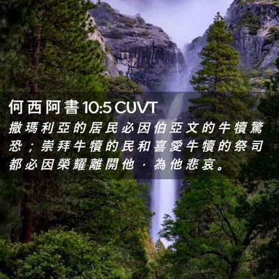 Picture 02 - 何 西 阿 書 10:5 CUVT - 撒 瑪 利 亞 的 居 民 必 因 伯 亞 文 - Bible Verse Picture