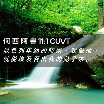 Picture 02 - 何 西 阿 書 11:1 CUVT - 以 色 列 年 幼 的 時 候 ， 我 愛 他 - Bible Verse Picture