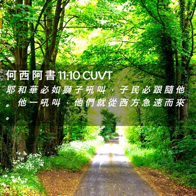 Picture 02 - 何 西 阿 書 11:10 CUVT - 耶 和 華 必 如 獅 子 吼 叫 ， 子 民 - Bible Verse Picture