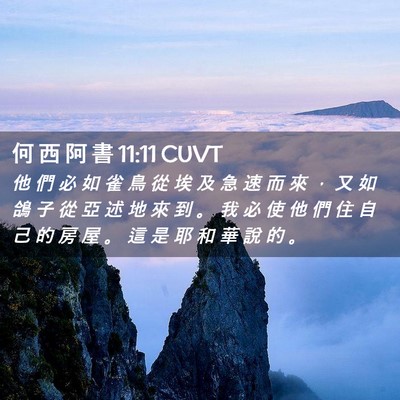 Picture 02 - 何 西 阿 書 11:11 CUVT - 他 們 必 如 雀 鳥 從 埃 及 急 速 而 - Bible Verse Picture