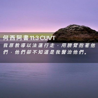 Picture 02 - 何 西 阿 書 11:3 CUVT - 我 原 教 導 以 法 蓮 行 走 ， 用 膀 - Bible Verse Picture