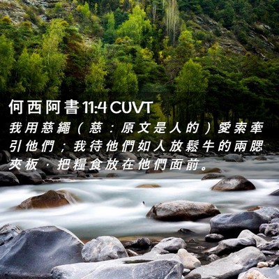 Picture 02 - 何 西 阿 書 11:4 CUVT - 我 用 慈 繩 （ 慈 ： 原 文 是 人 的 - Bible Verse Picture