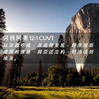 Picture 02 - 何 西 阿 書 12:1 CUVT - 以 法 蓮 吃 風 ， 且 追 趕 東 風 ， - Bible Verse Picture