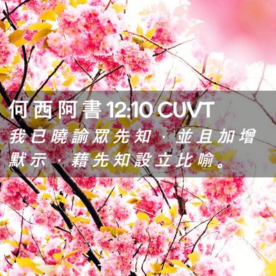 Picture 02 - 何 西 阿 書 12:10 CUVT - 我 已 曉 諭 眾 先 知 ， 並 且 加 增 - Bible Verse Picture