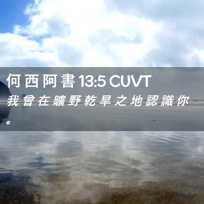 Picture 02 - 何 西 阿 書 13:5 CUVT - 我 曾 在 曠 野 乾 旱 之 地 認 識 你 - Bible Verse Picture