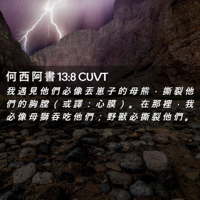 Picture 02 - 何 西 阿 書 13:8 CUVT - 我 遇 見 他 們 必 像 丟 崽 子 的 母 - Bible Verse Picture