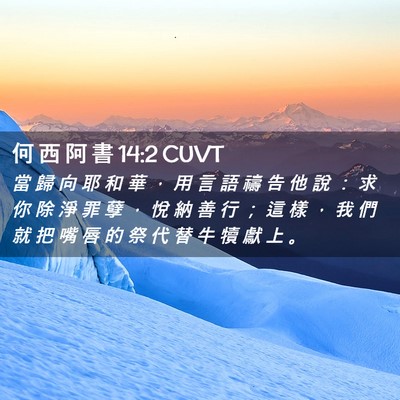 Picture 02 - 何 西 阿 書 14:2 CUVT - 當 歸 向 耶 和 華 ， 用 言 語 禱 告 - Bible Verse Picture