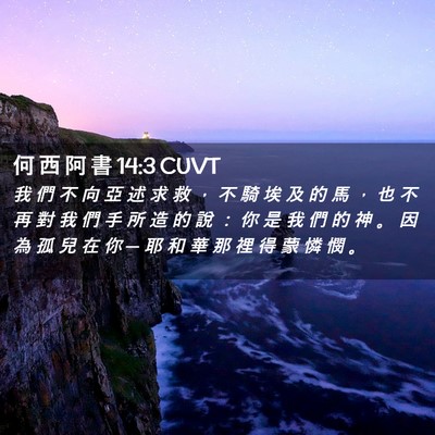 Picture 02 - 何 西 阿 書 14:3 CUVT - 我 們 不 向 亞 述 求 救 ， 不 騎 埃 - Bible Verse Picture