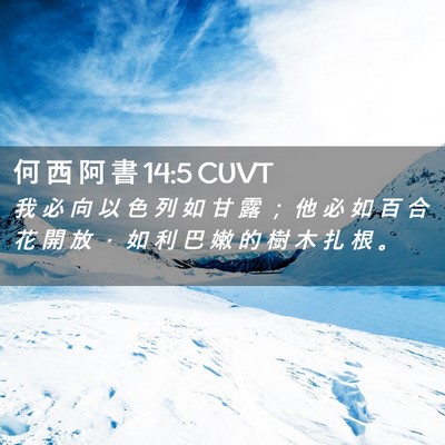 Picture 02 - 何 西 阿 書 14:5 CUVT - 我 必 向 以 色 列 如 甘 露 ； 他 必 - Bible Verse Picture