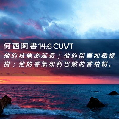 Picture 02 - 何 西 阿 書 14:6 CUVT - 他 的 枝 條 必 延 長 ； 他 的 榮 華 - Bible Verse Picture