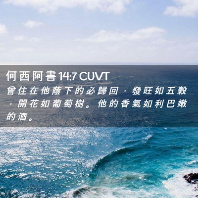 Picture 02 - 何 西 阿 書 14:7 CUVT - 曾 住 在 他 蔭 下 的 必 歸 回 ， 發 - Bible Verse Picture