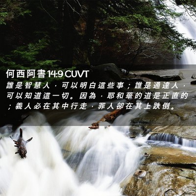 Picture 02 - 何 西 阿 書 14:9 CUVT - 誰 是 智 慧 人 ， 可 以 明 白 這 些 - Bible Verse Picture