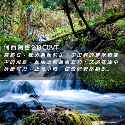 Picture 02 - 何 西 阿 書 2:18 CUVT - 當 那 日 ， 我 必 為 我 的 民 ， 與 - Bible Verse Picture