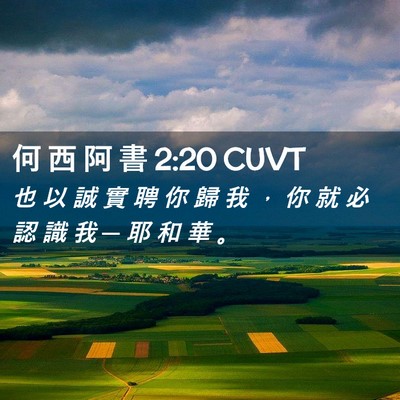 Picture 02 - 何 西 阿 書 2:20 CUVT - 也 以 誠 實 聘 你 歸 我 ， 你 就 必 - Bible Verse Picture