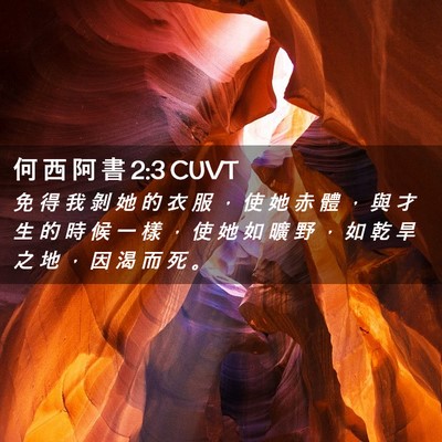 Picture 02 - 何 西 阿 書 2:3 CUVT - 免 得 我 剝 她 的 衣 服 ， 使 她 赤 - Bible Verse Picture