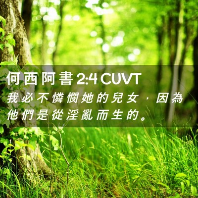 Picture 02 - 何 西 阿 書 2:4 CUVT - 我 必 不 憐 憫 她 的 兒 女 ， 因 為 - Bible Verse Picture